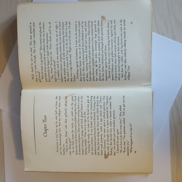 Green Entry Ruth Howard First Edition - Picture 14 of 15